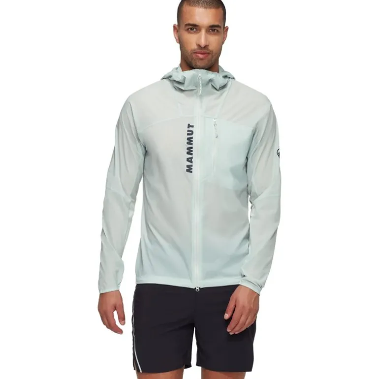 Aenergy WB Hooded Jacket Men Silver Sage