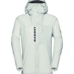 Aenergy WB Hooded Jacket Men Silver Sage