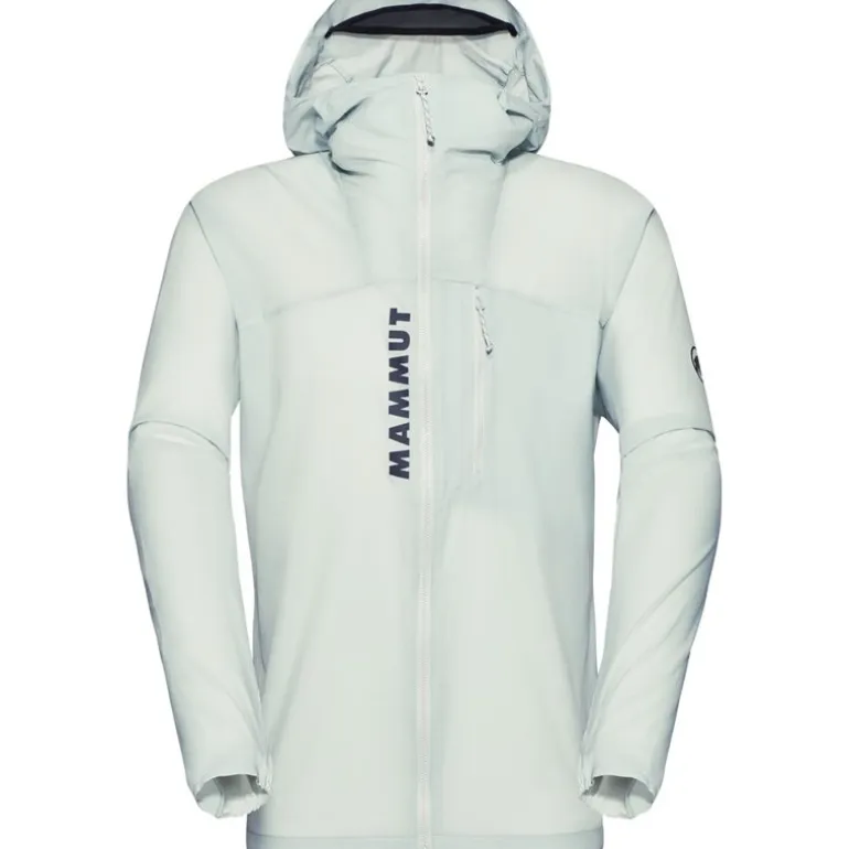 Aenergy WB Hooded Jacket Men Silver Sage