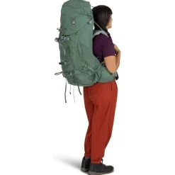 Ariel 55 Koseret Green