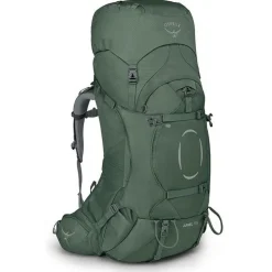 Ariel 55 Koseret Green