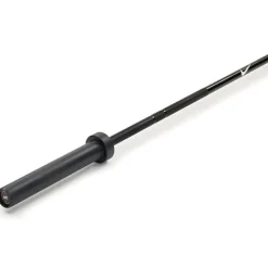 Barbell, Skivstång