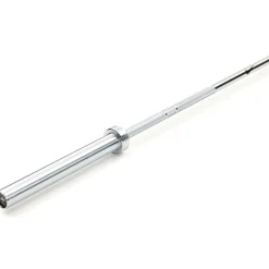Barbell, Skivstång