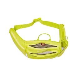 Big Attendant Bright Green