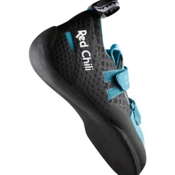 Circuit Hawaiian Blue