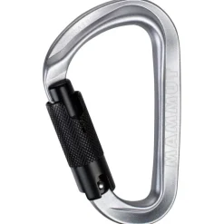 Classic HMS Screwgate Carabiner Alpine Calamint