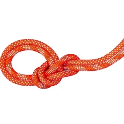 9.8 Crag Classic Rope 80m