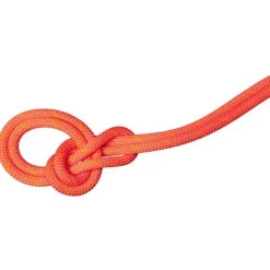9.8 Crag Dry Rope 70m