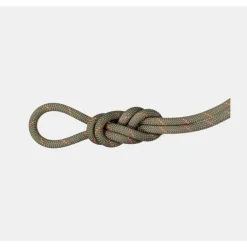 9.9 Crag Workhorse Dry Rope 70m