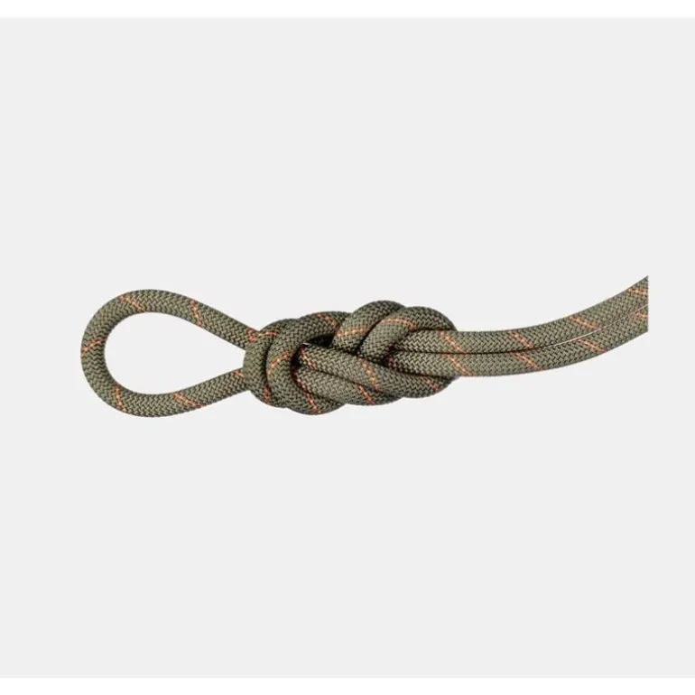 9.9 Crag Workhorse Dry Rope 60m