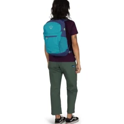 Daylite Plus Blue Spikemoss/Alkaline
