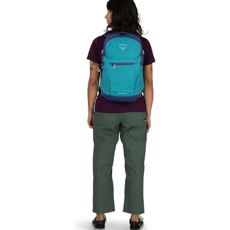 Daylite Plus Blue Spikemoss/Alkaline
