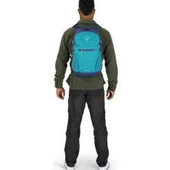 Daylite Plus Blue Spikemoss/Alkaline