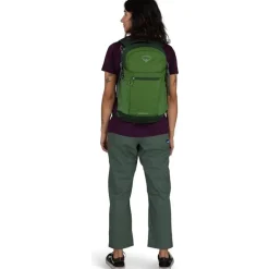 Daylite Plus Green Belt/Green Canopy