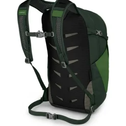 Daylite Plus Green Belt/Green Canopy
