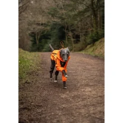 Fjord Overall Raincoat Orange/Black