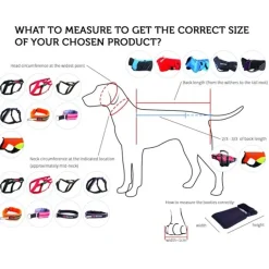 Freemotion Harness