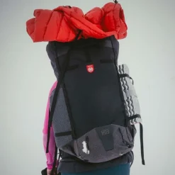 HD3