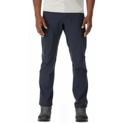 Incline Pants mens Beluga