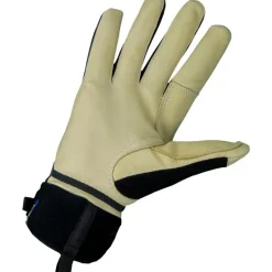 Legend Thermo Gold Black