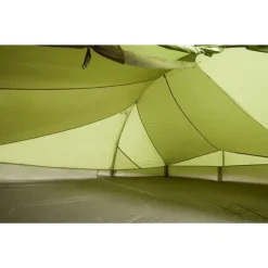 Lizard Seamless 2-3P