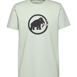 Mammut Core T-Shirt Men Classic Silver Sage