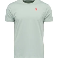 M Bd Dragon Ss Tee Agave