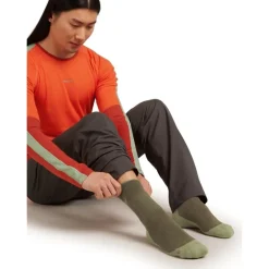 Men Merino Hike+ Medium Crew Loden/Lichen
