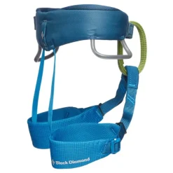 Momentum Harness - Kids' Kingfisher