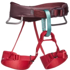 Momentum Harness - Kids' Wild Rose