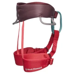 Momentum Harness - Kids' Wild Rose