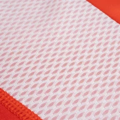 Pace NTS Long Sleeve Baselayer Top W Cayenne