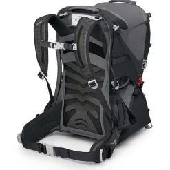 Poco LT Child Carrier Black