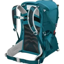 Poco LT Child Carrier Deep Peyto