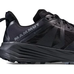 Saentis TR Low GTX Men Black