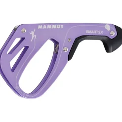 Smart 2.0 Alpine Calamint