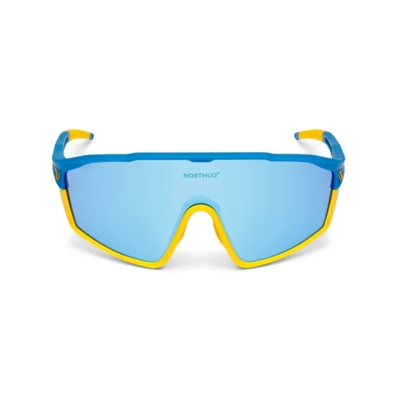 Sunsetter Standard Blue/Yellow