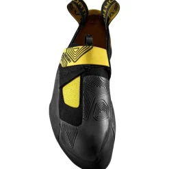Theory Yellow/Black