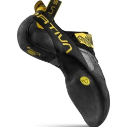 Theory Yellow/Black