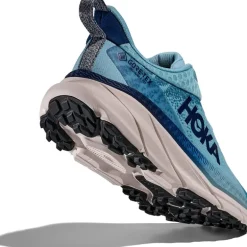 W Challenger Atr 7 Gtx Raindrop / Grout
