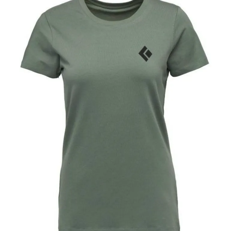 W Equipment For Alpnst Ss Tee Laurel Green