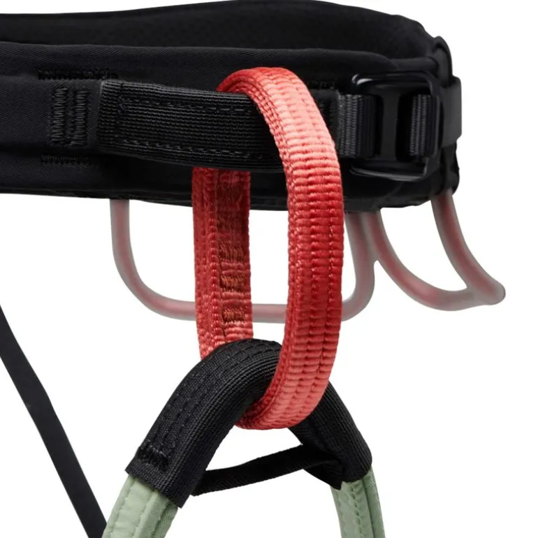 W Solution Harness