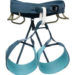 W Solution Harness Glacier