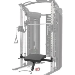 X22-X19 Hipthrust